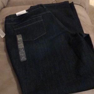 NWT Christopher Banks Modern Fit Denim